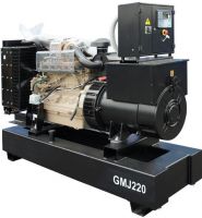 GMJ220